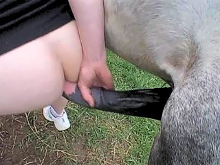 Dad, I want to suck huge horse dick like in porn! Can i do it?