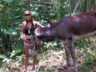 Donkey porn in the jungle of Colombia