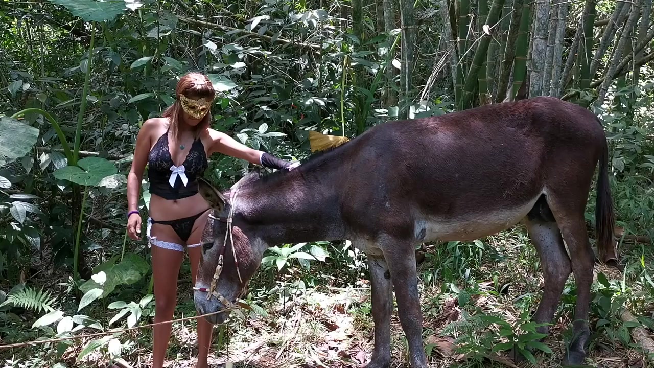 Donkey porn in the jungle of Colombia