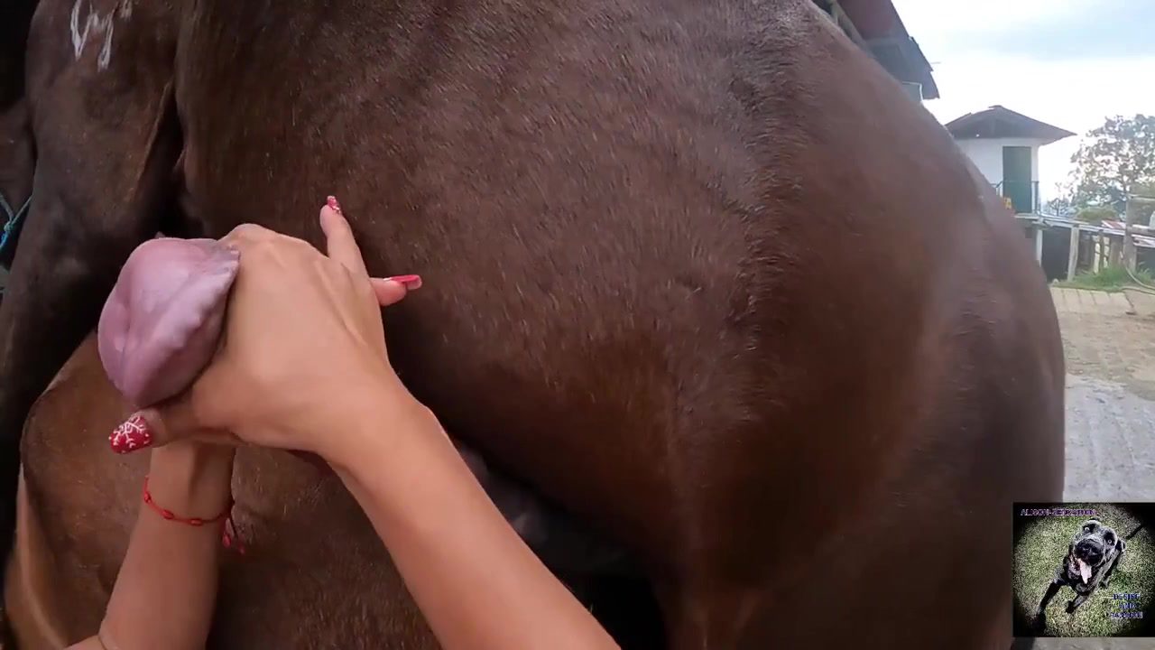 La intimidad entre especies